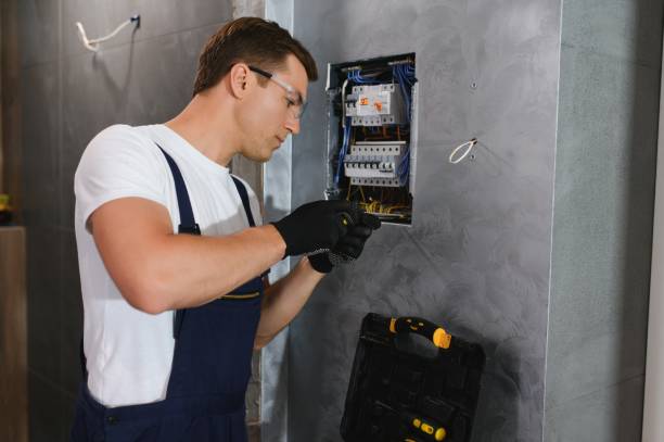 Best Licensed Electrician  in Pinckney, MI