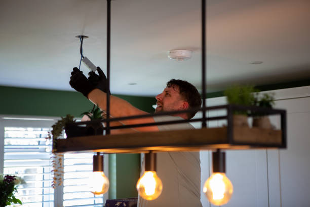 Best Ceiling Fan Installation Electrician  in Pinckney, MI