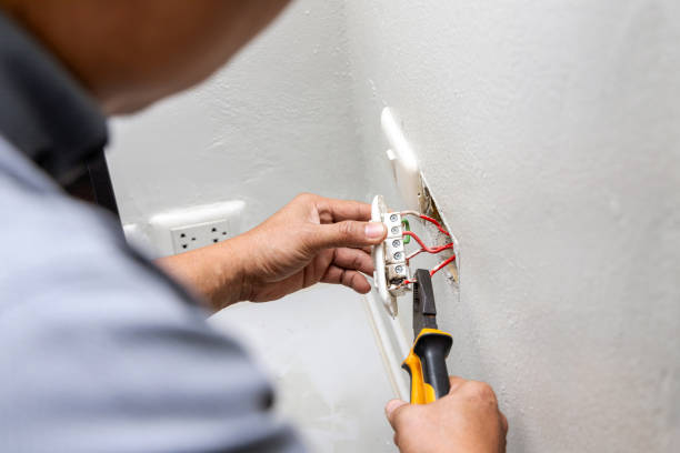 Best Electric Panel Repair  in Pinckney, MI