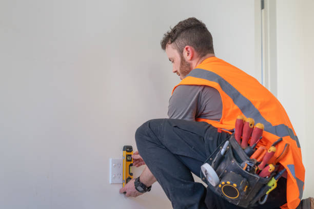 Best Industrial Electrical Services  in Pinckney, MI